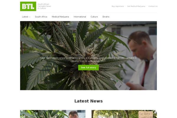 theunstandard theme websites examples