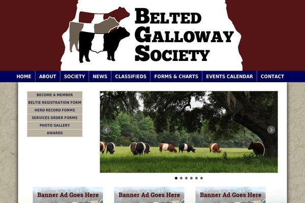 beltie.org site used Beltie