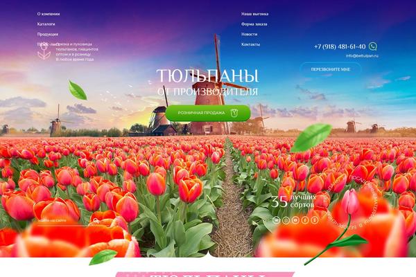beltulpan.ru site used Beltulpan