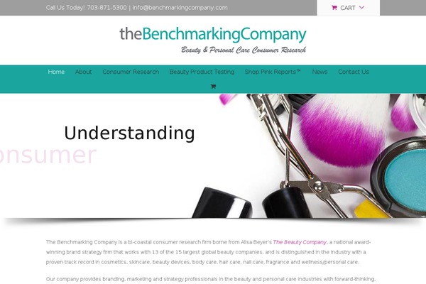 benchmarkingcompany.com site used Benchmarking