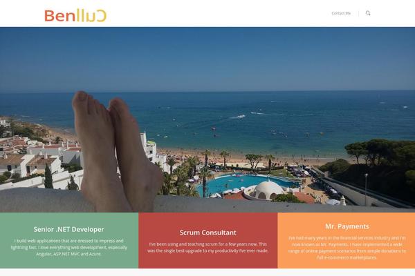 Salient theme site design template sample