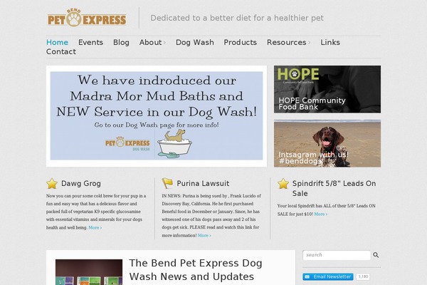 WordPress website example screenshot