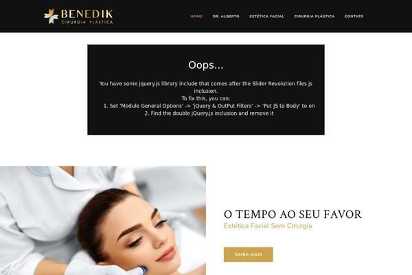 benedik.com.br site used Benedik