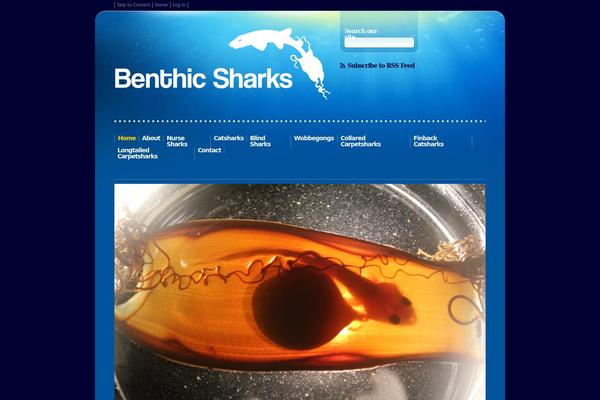 Ocean theme site design template sample