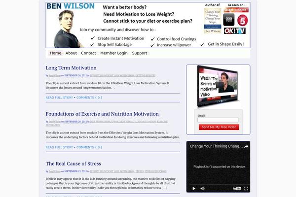 WordPress website example screenshot
