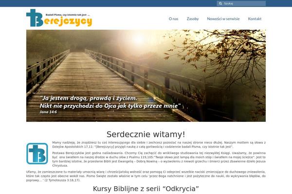 Virtue theme site design template sample