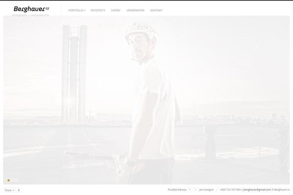 Fluxus theme site design template sample