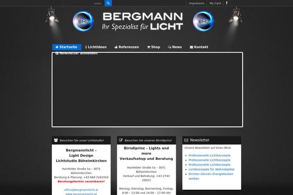 bergmann theme websites examples