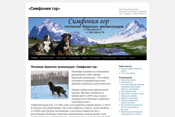 berndog.ru site used Twenty Ten