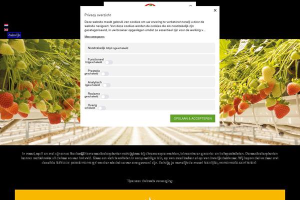 Neve theme site design template sample