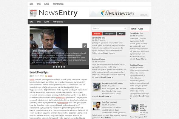Newsentry theme site design template sample