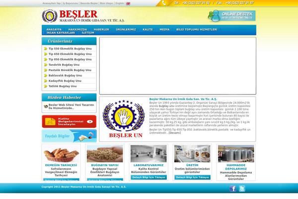 beslerun.com site used Mavi