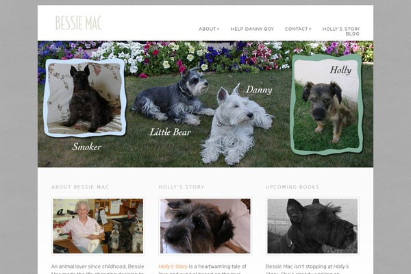 Dandelion_v2.6.1 theme site design template sample