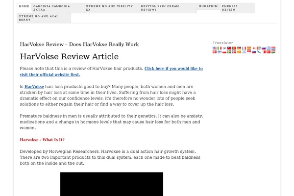 WordPress website example screenshot