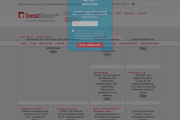 WordPress website example screenshot