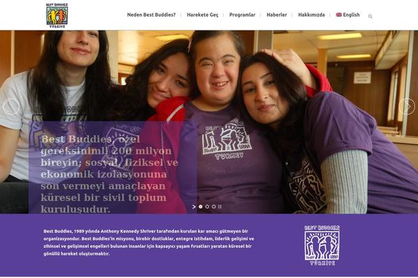 Bridge theme site design template sample
