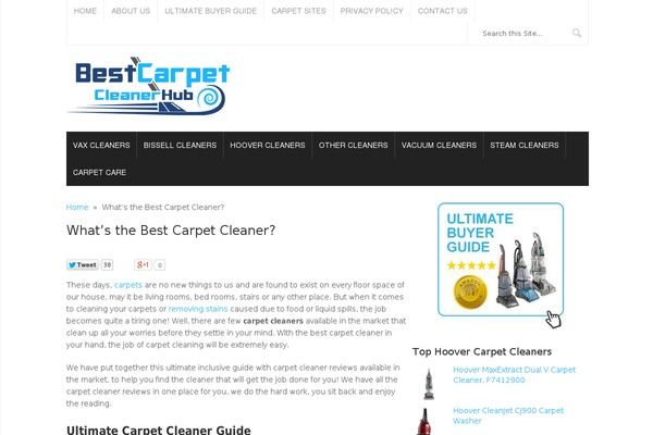 bestcarpetcleanerhub.com site used Splash