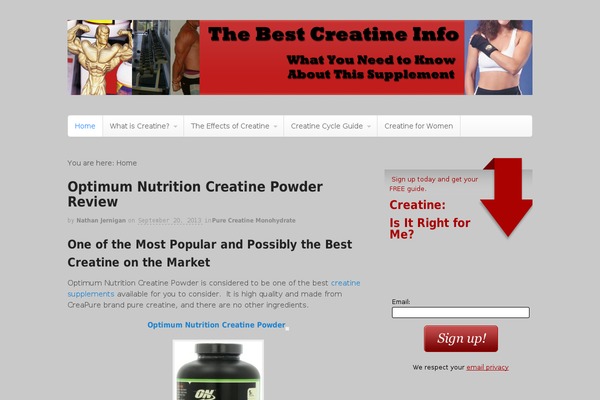 Canvas theme site design template sample