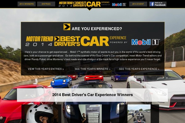 bestdriverscarexperience.com site used Bestdriverscarexperience.com