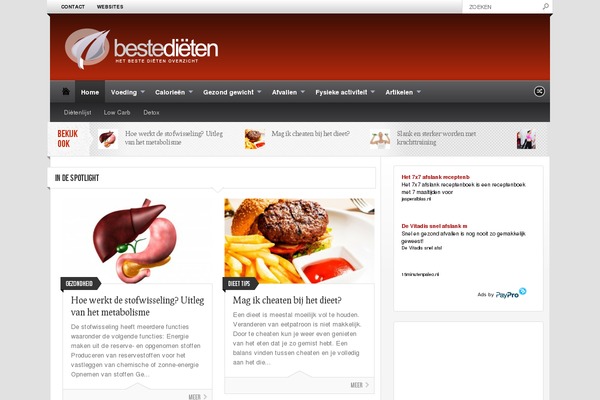 WordPress website example screenshot