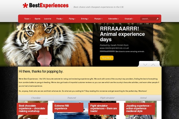 bestexperiences.co.uk site used Bestexperience