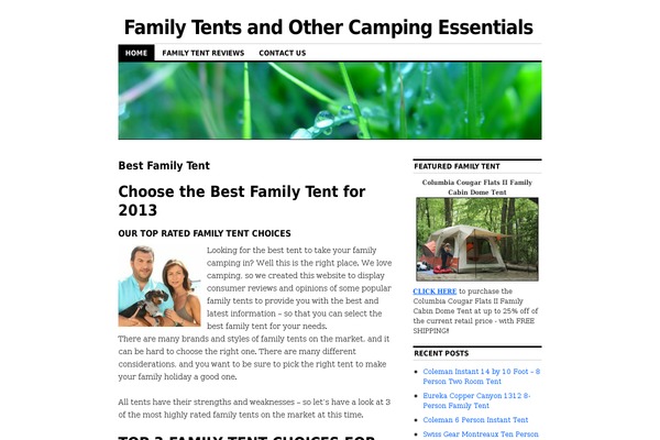 WordPress website example screenshot