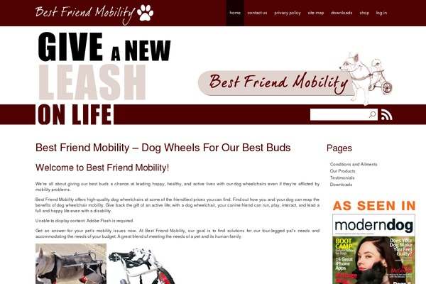 bestfriendmobility.org site used Bfm