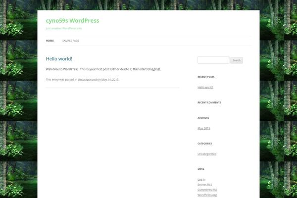 Site using WP Socializer plugin