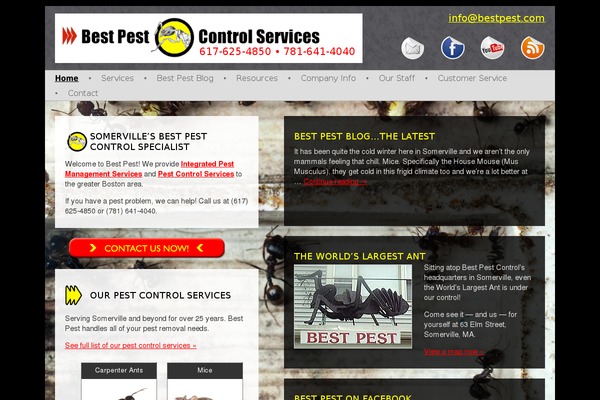 bestpest.com site used Bp