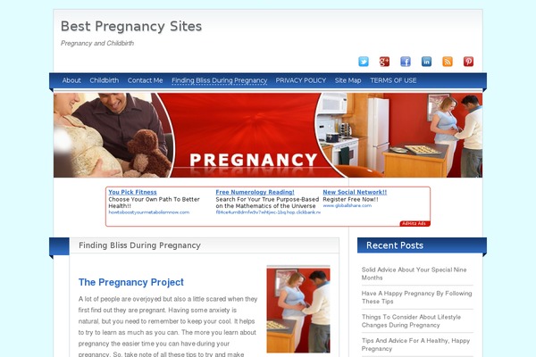 bestpregnancysites.com site used Babysitter-lite