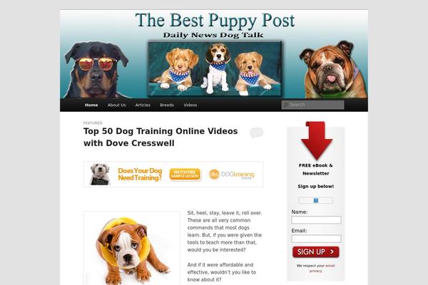 WordPress website example screenshot