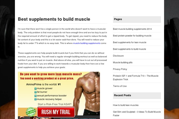 WordPress website example screenshot
