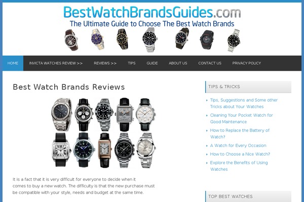 bestwatchbrandsguides.com site used Winfield-master