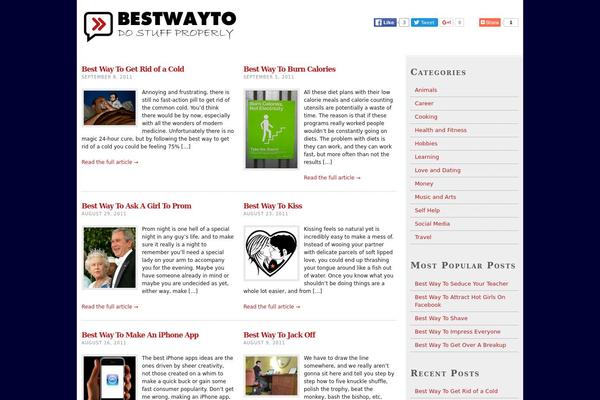 WordPress website example screenshot