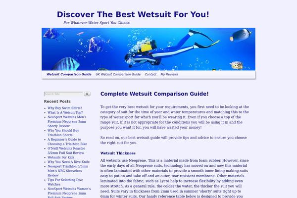 WordPress website example screenshot
