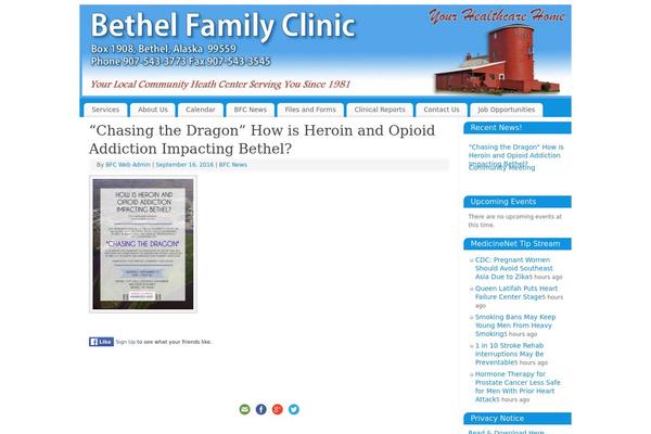 WordPress website example screenshot