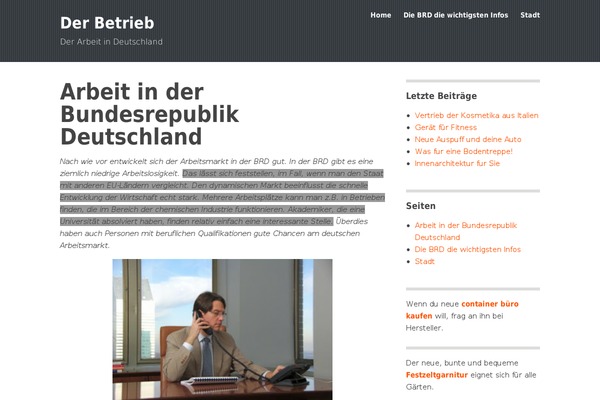 WordPress website example screenshot