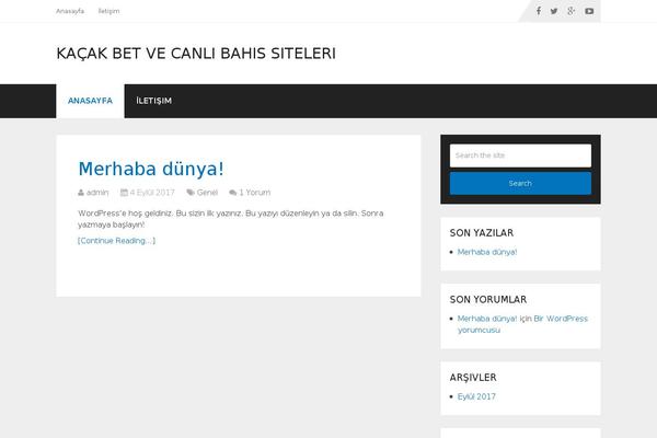 WordPress website example screenshot