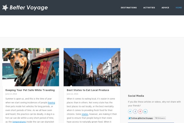 bv theme websites examples