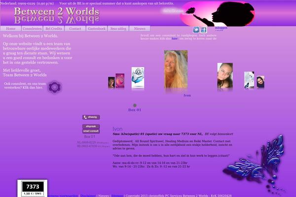 b2w theme websites examples