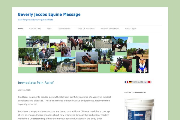 WordPress website example screenshot