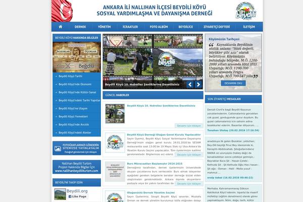 beydilider.com site used Beydilider