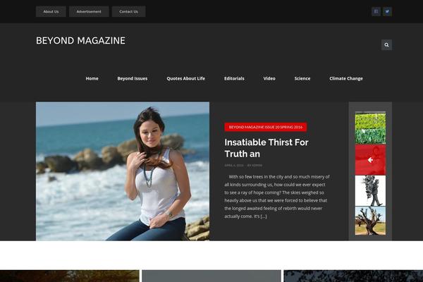 Sahifa theme site design template sample