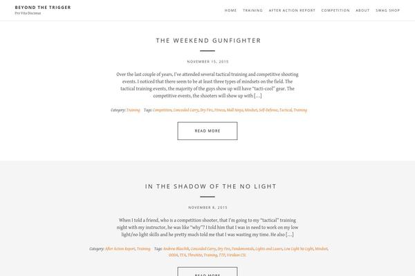 Daily theme site design template sample
