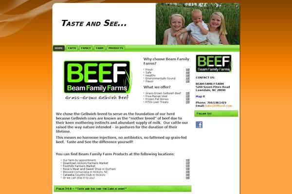 bffbeef.com site used Luke_beams_template_5