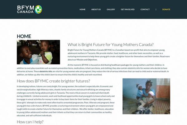 Philanthropy-parent theme site design template sample