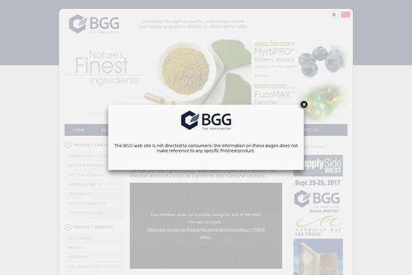 bgg theme websites examples