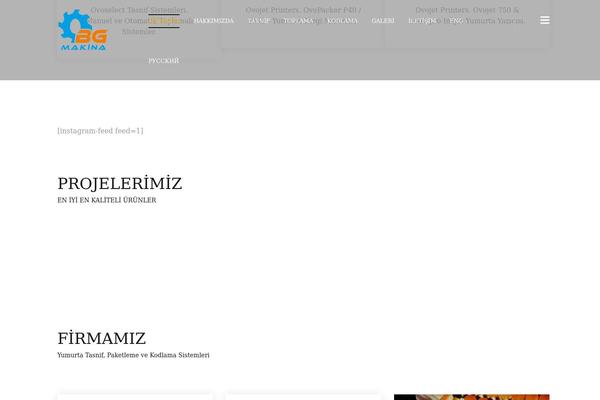 Zidex theme site design template sample