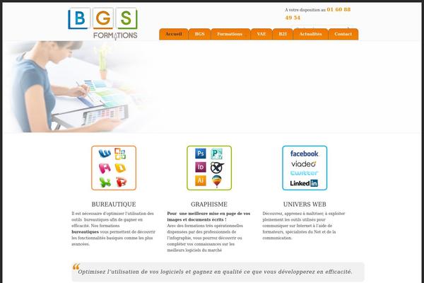 Bgs theme site design template sample