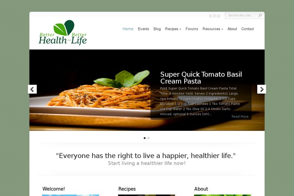 Chameleon theme site design template sample